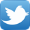 tw-icon