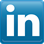 in-icon
